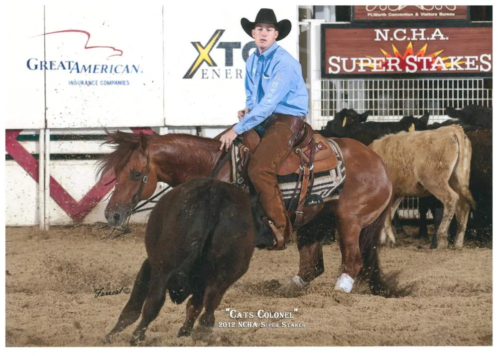 Cats Colonel cutting a cow at the NCHA Super Stakes