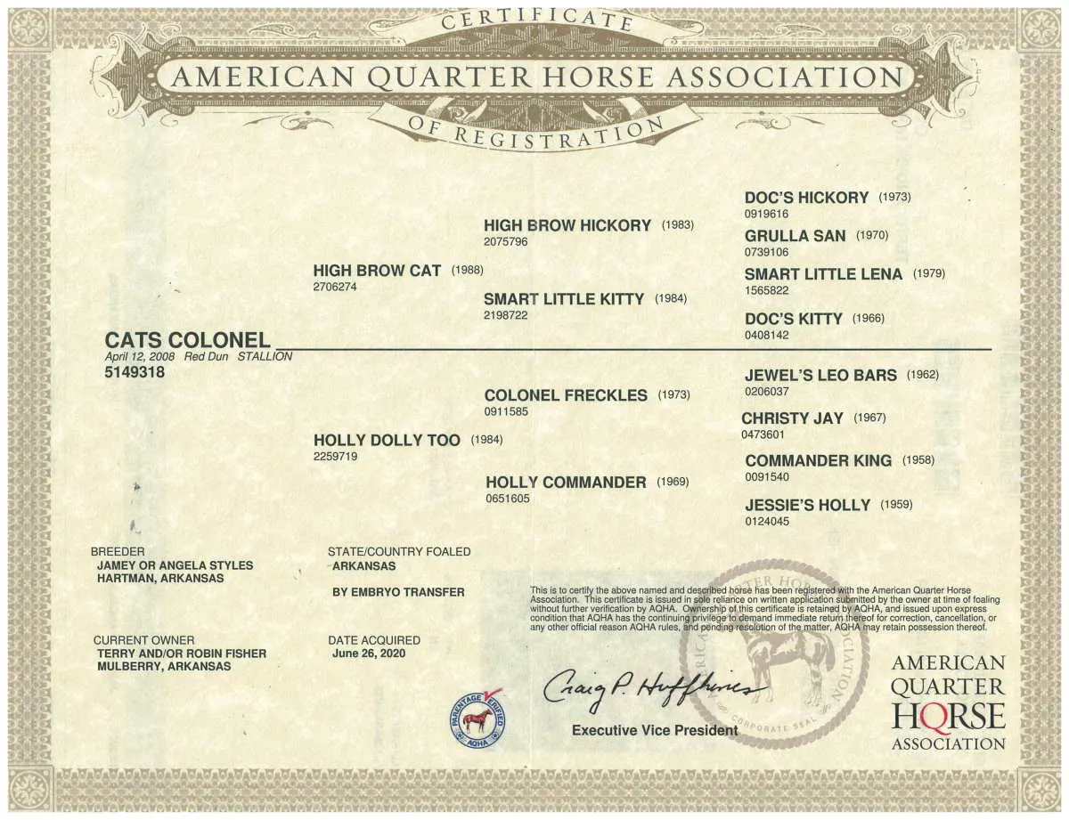 AQHA registration certificate for Cats Colonel