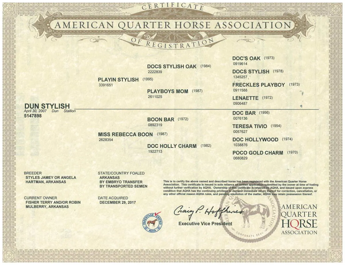 AQHA registration certificate for Dun Stylish