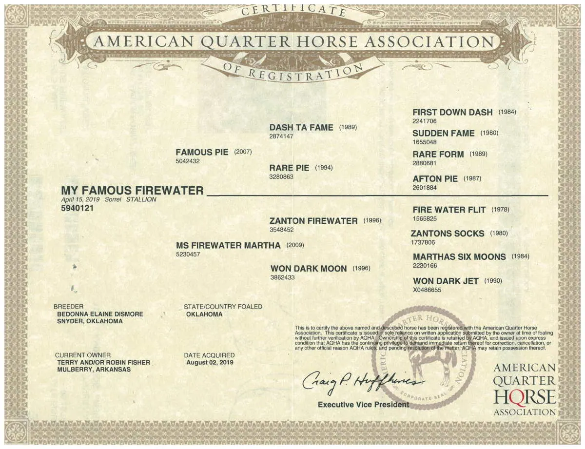 AQHA registration certificate for My Famous Firewater