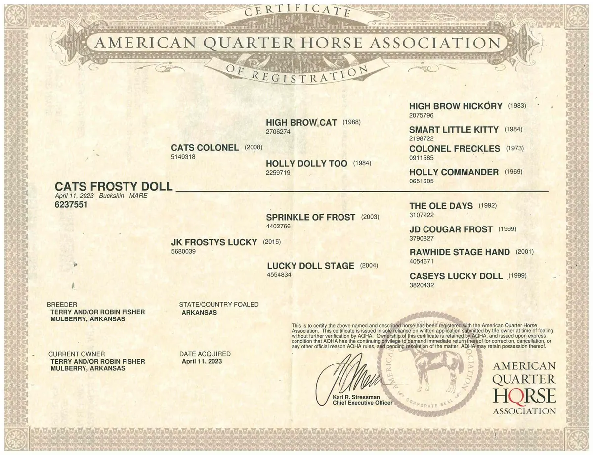 AQHA registration certificate for Cats Frosty Doll