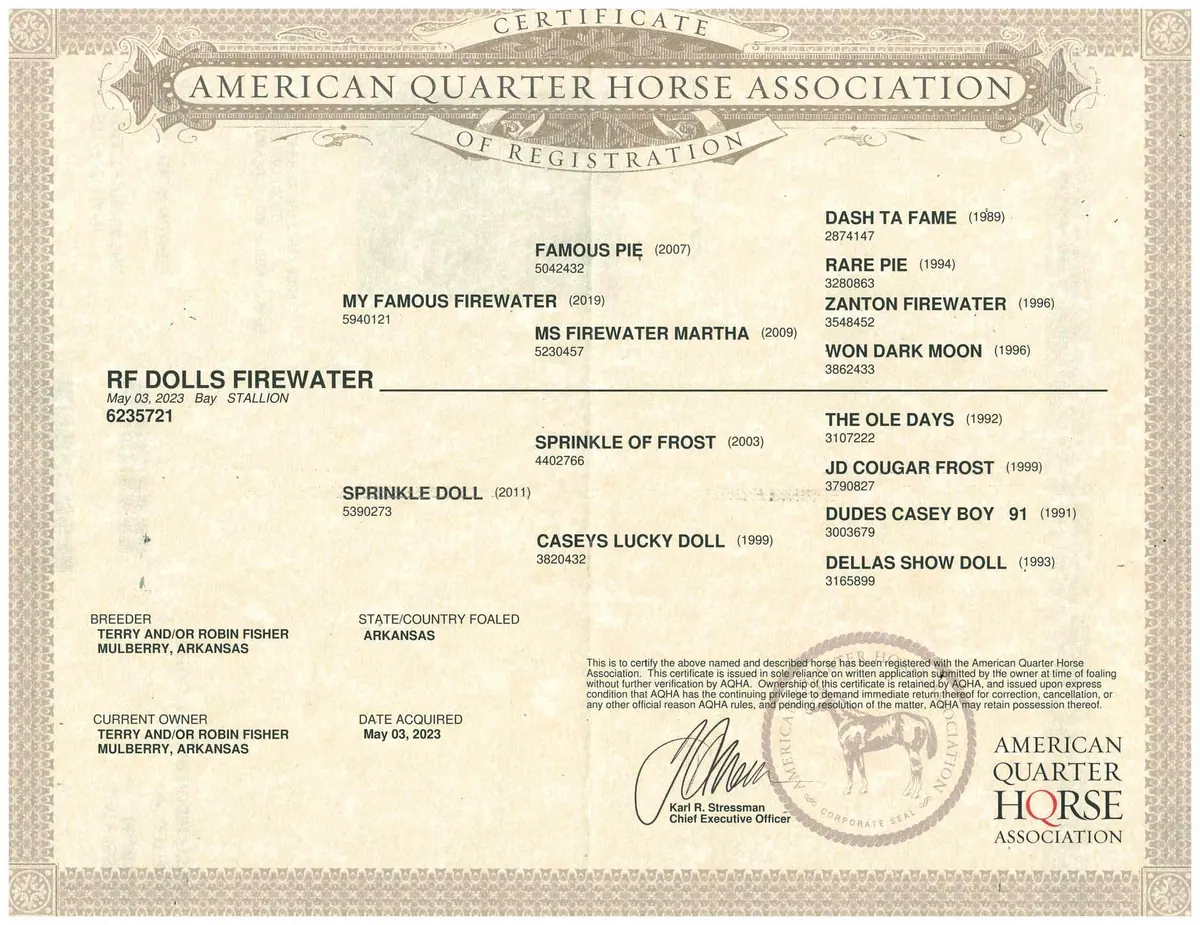 AQHA registration certificate for RF Dolls Firewater